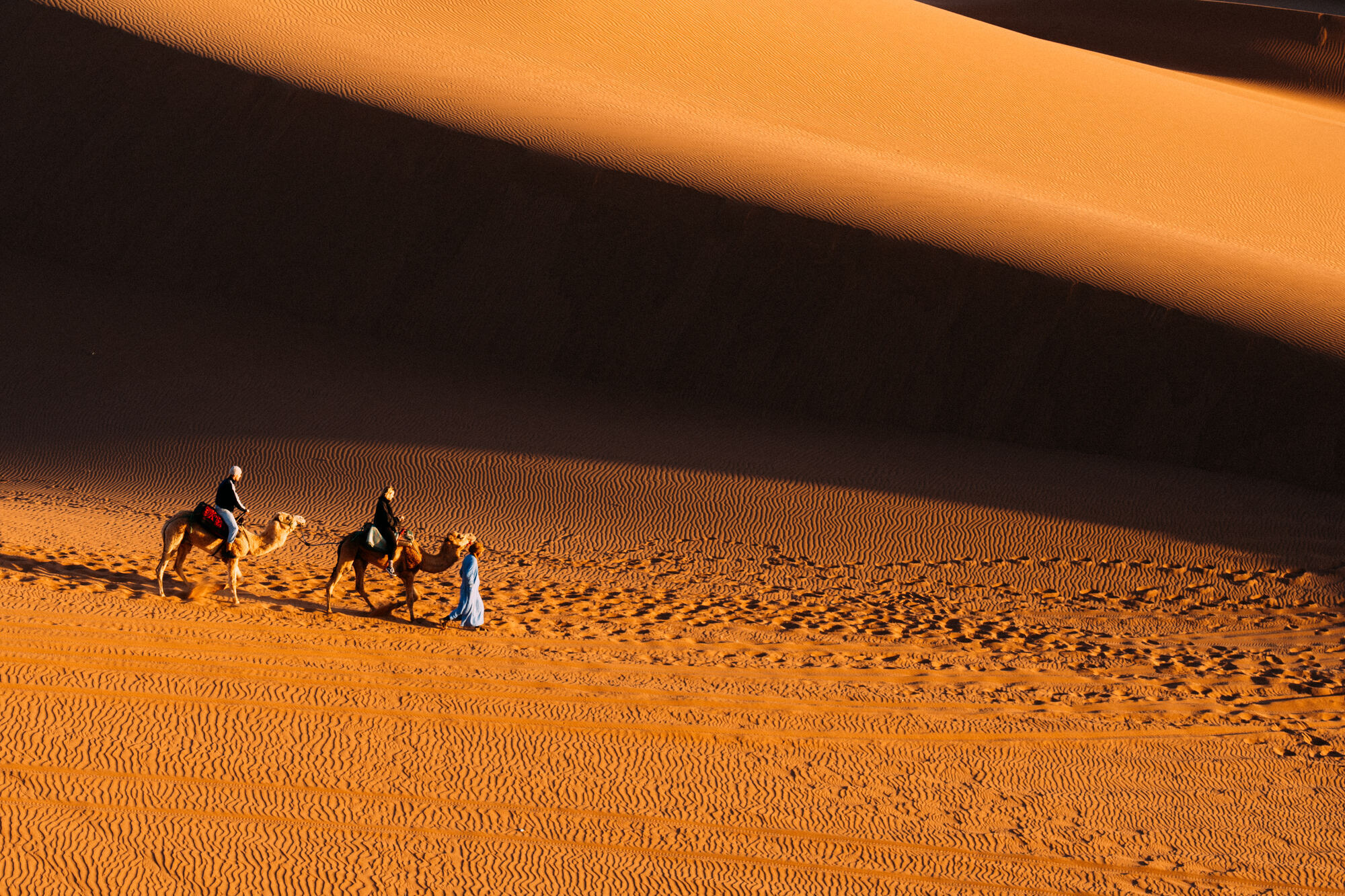 Camel riders