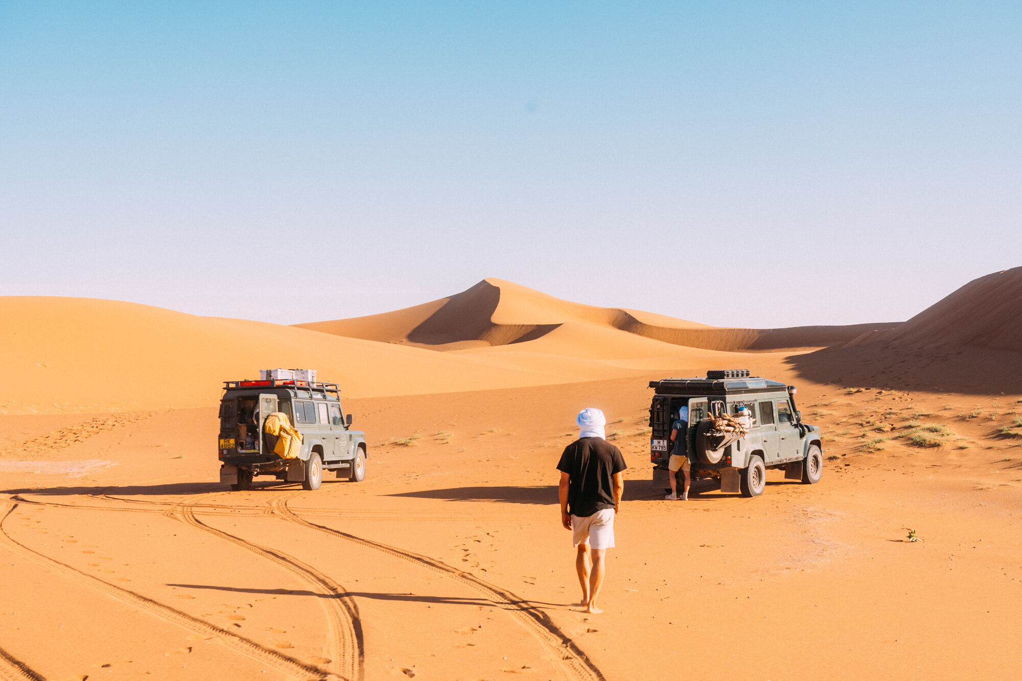 Defenders in the desert